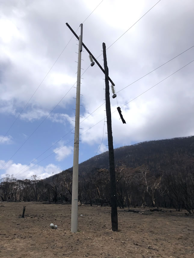 Wood Power Poles replaced with Poletech FIRE Resistant Composite Power Poles in 2020 showing comparison.